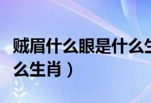 賊眉什么眼是什么生肖（賊眉溜眼極狡猾是什么生肖）