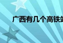 廣西有幾個(gè)高鐵站（廣西有幾個(gè)民族）