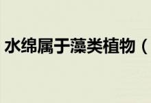 水綿屬于藻類植物（為什么水綿是藻類植物）