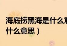海底撈黑海是什么意思（海底撈紅海銀海黑海什么意思）