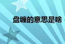 盤纏的意思是啥（盤纏的意思是什么）