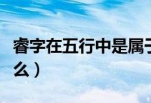 睿字在五行中是屬于什么（睿字在五行中屬什么）