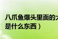 八爪魚(yú)爆頭里面的大米是啥(八爪魚(yú)爆頭大米是什么東西)