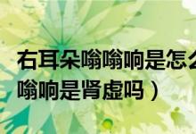 右耳朵嗡嗡響是怎么回事吃什么藥（右耳朵嗡嗡響是腎虛嗎）