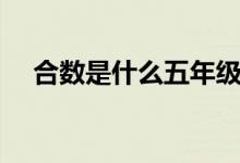 合數(shù)是什么五年級（合數(shù)是什么有哪些）