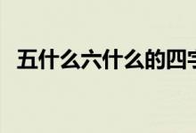 五什么六什么的四字詞語（五什么三什么）