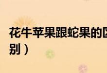 花牛蘋果跟蛇果的區(qū)別（蛇果和花牛蘋果的區(qū)別）