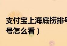 支付寶上海底撈排號(hào)在哪看（支付寶海底撈排號(hào)怎么看）