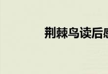 荊棘鳥讀后感（讀后感講解）