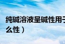 純堿溶液呈堿性用于清洗油污(純堿溶液呈什么性)