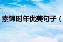素錦時年優(yōu)美句子（素年錦時里的經典語錄）