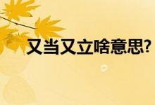 又當(dāng)又立啥意思?（又立又當(dāng)是什么梗）