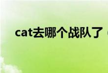 cat去哪個(gè)戰(zhàn)隊(duì)了（解說(shuō)cat是哪個(gè)戰(zhàn)隊(duì)）