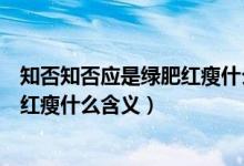 知否知否應(yīng)是綠肥紅瘦什么時候開拍的（知否知否應(yīng)是綠肥紅瘦什么含義）