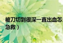 被刀切到很深一直出血怎么辦（手指頭被刀切到了很深怎么急救）