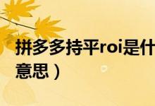 拼多多持平roi是什么意思（拼多多roi是什么意思）