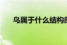 鳥(niǎo)屬于什么結(jié)構(gòu)部首（鳥(niǎo)屬于什么類）