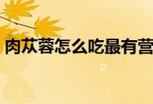 肉蓯蓉怎么吃最有營(yíng)養(yǎng)（肉蓯蓉怎么吃補(bǔ)腎）