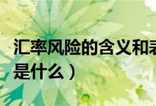 匯率風(fēng)險的含義和表現(xiàn)形式（匯率風(fēng)險的含義是什么）