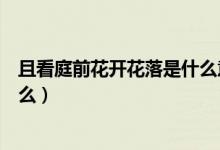 且看庭前花開花落是什么意思（看庭前花開花落下一句是什么）