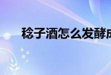 稔子酒怎么發(fā)酵成酒（稔子酒怎么做）
