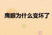 鷹眼為什么變壞了（鷹眼為什么變成浪人）