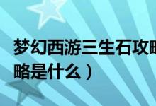 夢幻西游三生石攻略視頻（夢幻西游三生石攻略是什么）