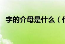 字的介母是什么（什么是介母有哪些字母）