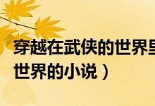 穿越在武俠的世界里小說(shuō)（求幾本穿越到武俠世界的小說(shuō)）