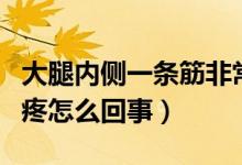 大腿內(nèi)側(cè)一條筋非常疼（大腿內(nèi)側(cè)一條筋非常疼怎么回事）