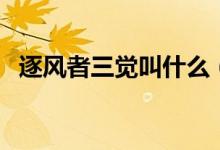逐風(fēng)者三覺叫什么（逐風(fēng)者覺醒后叫什么）