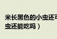 米長黑色的小蟲還可以吃嗎（米里有黑色的小蟲還能吃嗎）