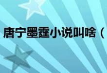 唐寧墨霆小說(shuō)叫啥（唐寧墨霆小說(shuō)叫什么名）