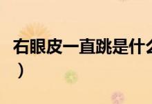 右眼皮一直跳是什么預兆（為什么會右眼皮跳）
