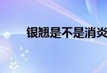 銀翹是不是消炎藥（銀翹是什么藥）