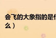 會飛的大象指的是什么（想飛的大象講述了什么）
