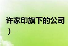 許家印旗下的公司（許家印在中達(dá)的老板是誰）