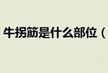 牛拐筋是什么部位（羊拐筋是哪個(gè)部位什么）
