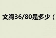 文胸36/80是多少（文胸36/80是什么型號）