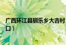 廣西環(huán)江縣馴樂鄉(xiāng)大吉村（廣西環(huán)江縣馴樂苗族鄉(xiāng)有多少人口）