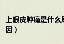 上眼皮腫痛是什么原因（上眼皮腫痛是什么原因）