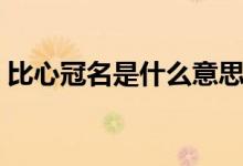 比心冠名是什么意思(比心冠名是什么意思)