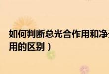 如何判斷總光合作用和凈光合作用（凈光合作用和總光合作用的區(qū)別）