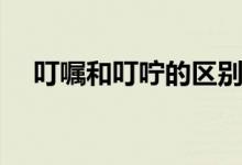 叮囑和叮嚀的區(qū)別（叮囑和叮嚀的區(qū)別）