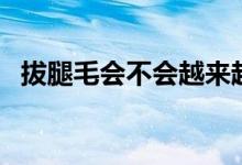 拔腿毛會不會越來越多（拔腿毛會怎么樣）