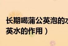 長(zhǎng)期喝蒲公英泡的水有什么好處（女人喝蒲公英水的作用）