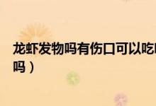 龍蝦發(fā)物嗎有傷口可以吃嗎（小龍蝦是發(fā)物嗎對傷口有影響嗎）