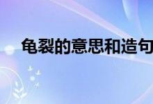 龜裂的意思和造句（龜裂的意思是什么）