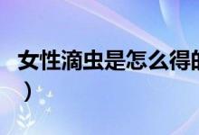 女性滴蟲(chóng)是怎么得的(女性滴蟲(chóng)是怎么造成的)