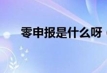 零申報是什么呀（零申報是什么意思）